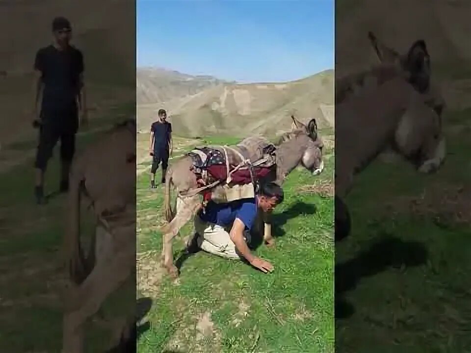 Пагода саричашма. Саричашма. саричашма таджикистан. дехаи саричашма. саричашма одинабои.