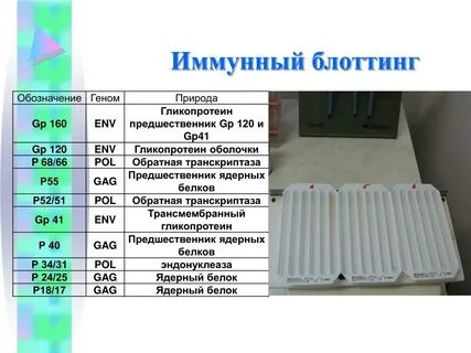 Метод иммунного блоттинга