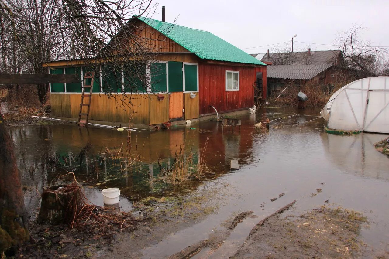 Уровень воды в вологде сегодня. Уровень воды в реке Вологда. Река Сухона Тотемский район. Наводнения на Сухоне. Сейчас уровень воды в реке Вологде.