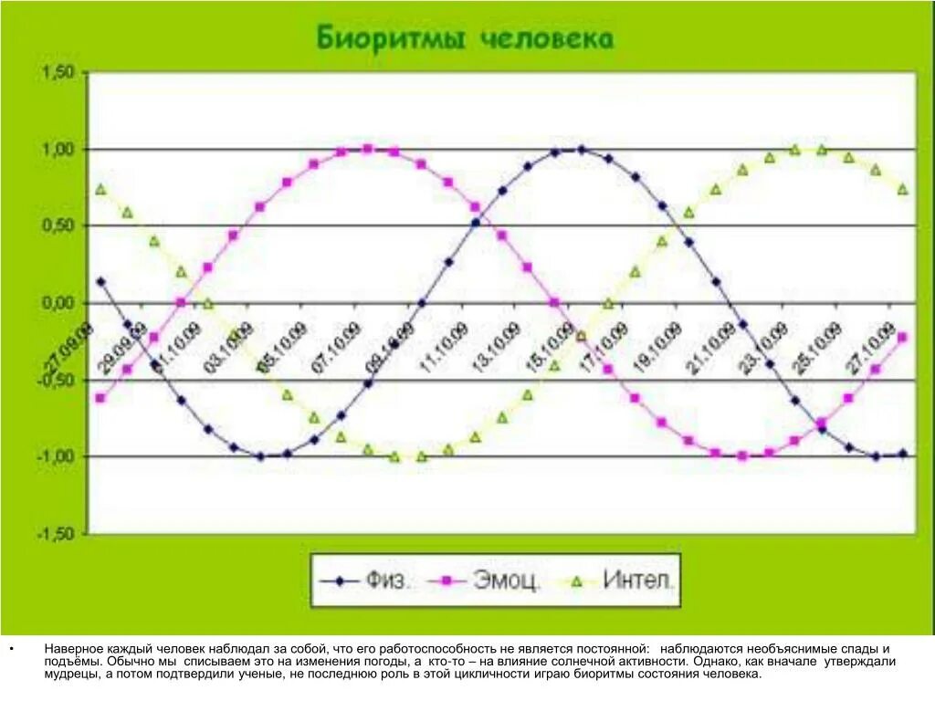 Годичные биоритмы человека график. Как построить график биоритмов человека. Диаграмма биоритмов человека. График суточных биоритмов.