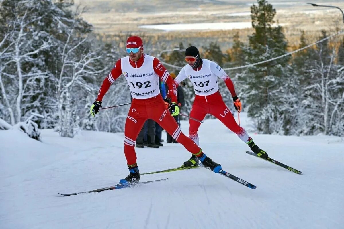 Лыжный спорт Свободный стиль. Зимняя спартакиада лыжи