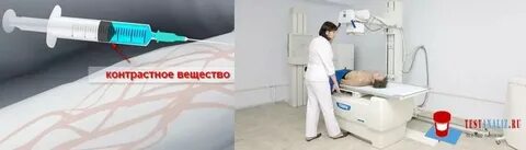 Кате с контрастом