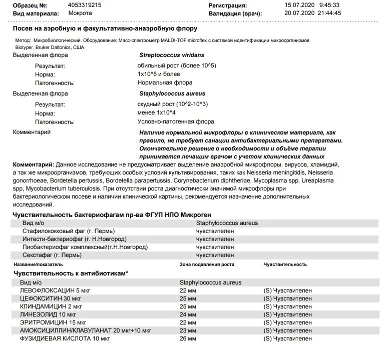 Стафилококк ауреус мазок. Мазок из зева на микрофлору расшифровка. Микробиологическое исследование мазка из зева. Мазок на микрофлору и чувствительность к антибиотикам.