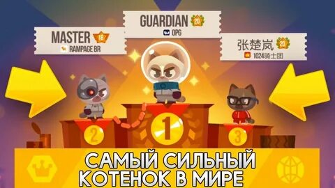 Cats коды видео 7 октября
