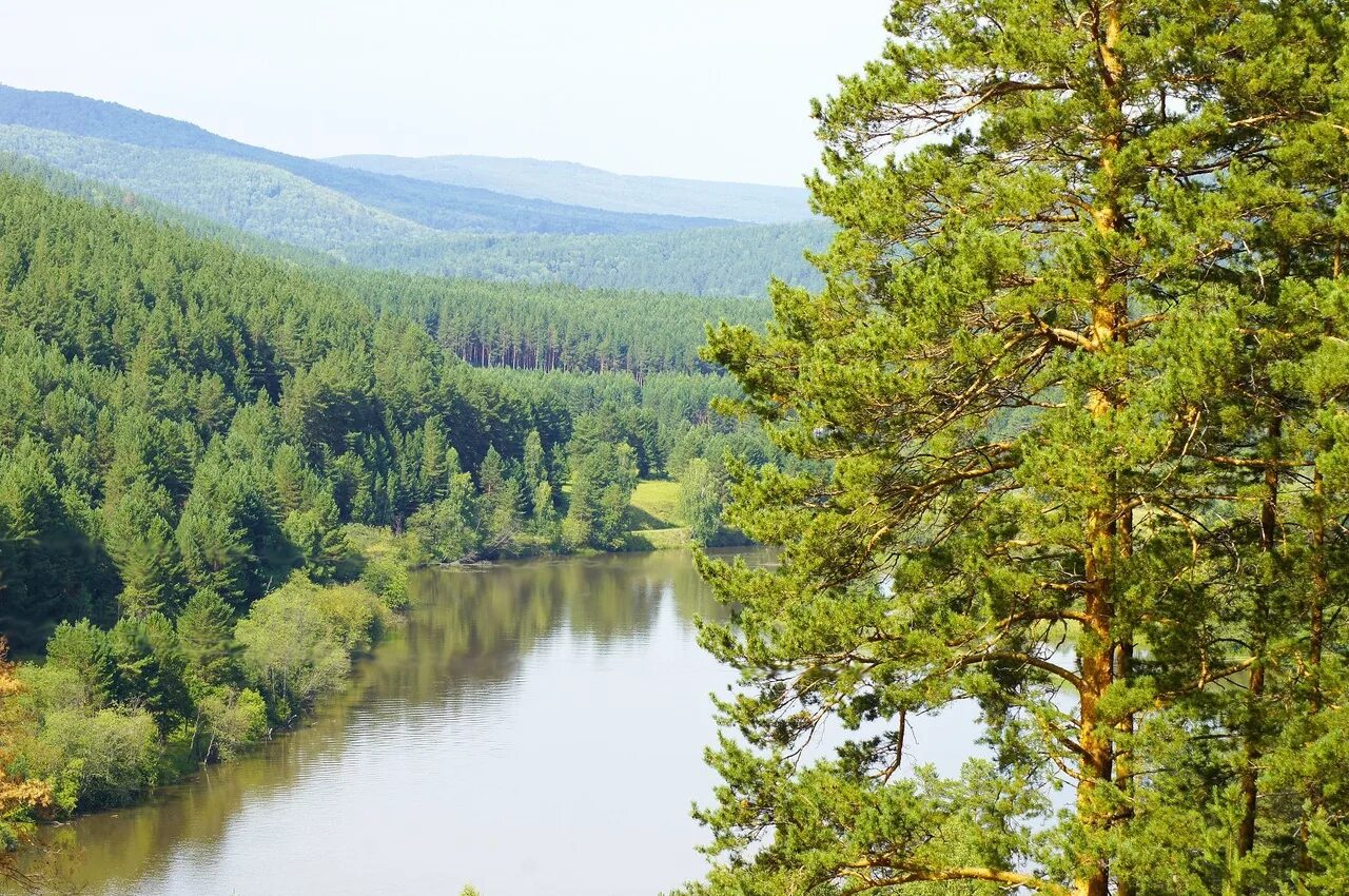 Река белая Белорецк. Белая в Белорецке. Белорецк природа. White River Белорецк.