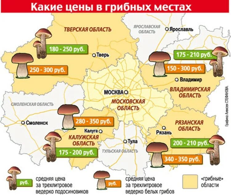 Грибные места. Карта грибных мест. Карта грибов Подмосковья. Карта грибника Подмосковья.