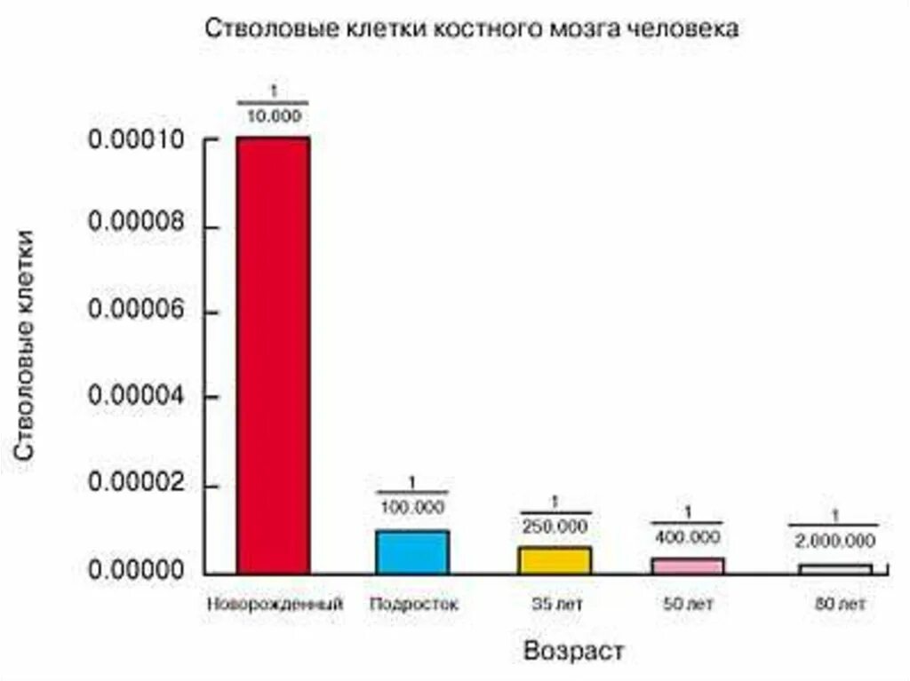 Сколько стволовых клеток. Количество стволовых клеток в организме. График с клетками.