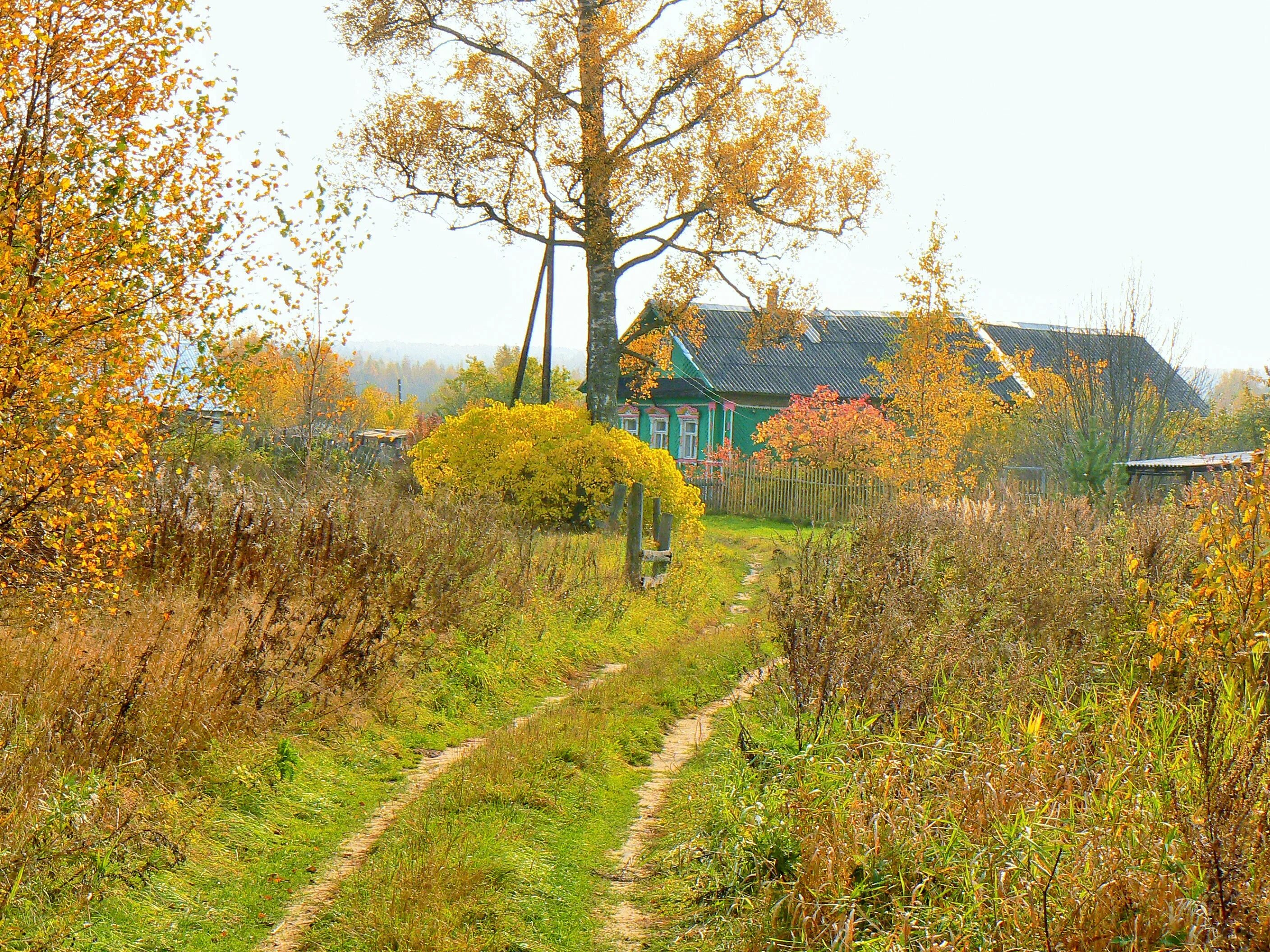 Домик в деревне. Деревенька моя старая. Детские стихи о деревне. Лето в деревне. Тут моя деревня.