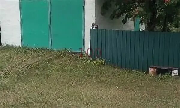 Поселок шишино кемеровская область. Шишино кемеровская область. Топки шишино. Шишино кемеровская область фото. Шишино.