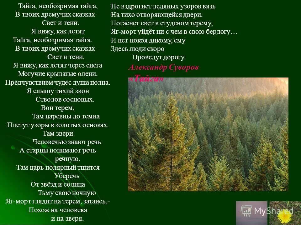 убаюканная тайга дремала и чутко ждала. градова татьяна петровна. на севере диком лермонтов. деревья жалобно шумели когда. портрет на фоне зимнего пейзажа.