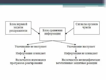Кинетоз