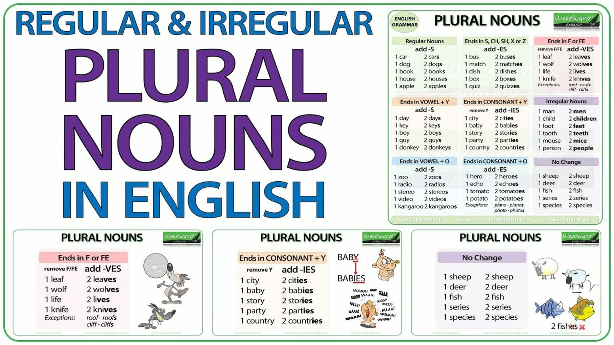 Plural Nouns. Plural Nouns in English. Plural Nouns правило. Irregular plural Nouns.