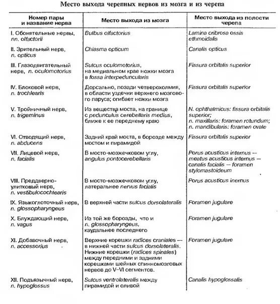 Сколько пар черепных нервов отходит. 12 Пар черепных нервов выход из черепа. Черепные нервы 12 пар таблица. 12 Пар черепно мозговых нервов выход из черепа. Основание головного мозга, выход 12 пар черепных нервов.