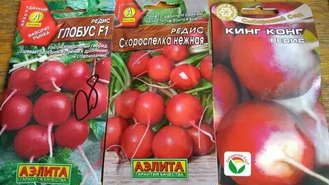 Редиска не завязывается