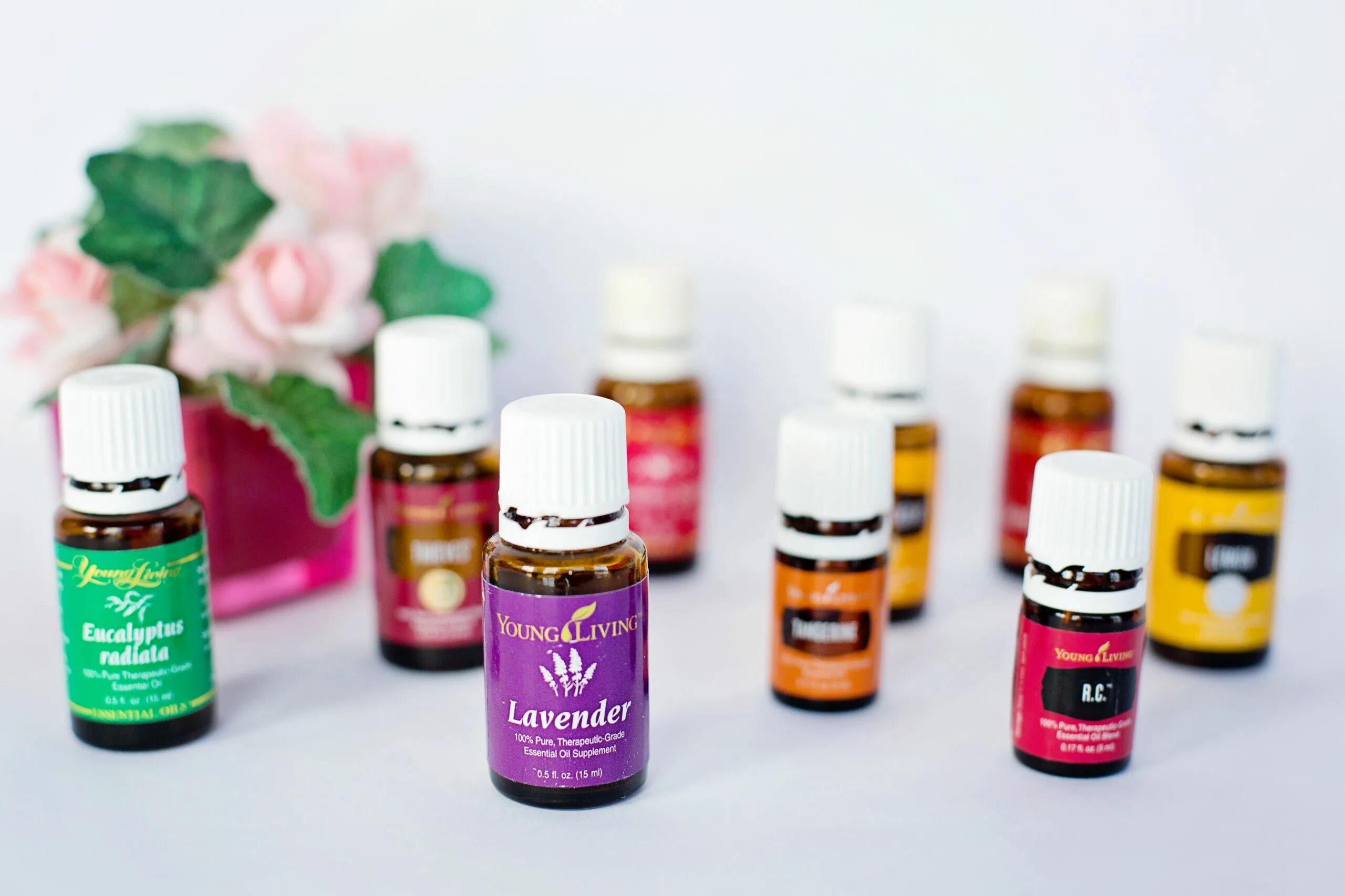 Эфирные масла. Ароматические масла. Young Living эфирные масла. Ароматерапия эфирные масла.