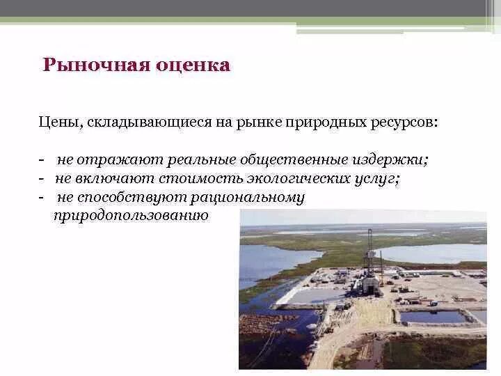 Природные ресурсы оценка использования природных ресурсов. Рыночная оценка природных ресурсов. экономическая оценка природных условий и ресурсов. методы экономической оценки природных ресурсов. экономическая оценка природных объектов.