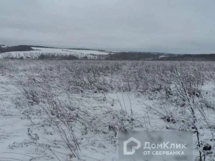 Золотухинский район деревня Апальково. Деревня Седмиховка Золотухинский район Курская область. Деревня Апальково Курская область. Деревня Апальково Золотухинский район Курской области. Тазовский сельсовет золотухинского