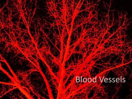 Devils veins