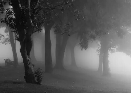 In the early morning he