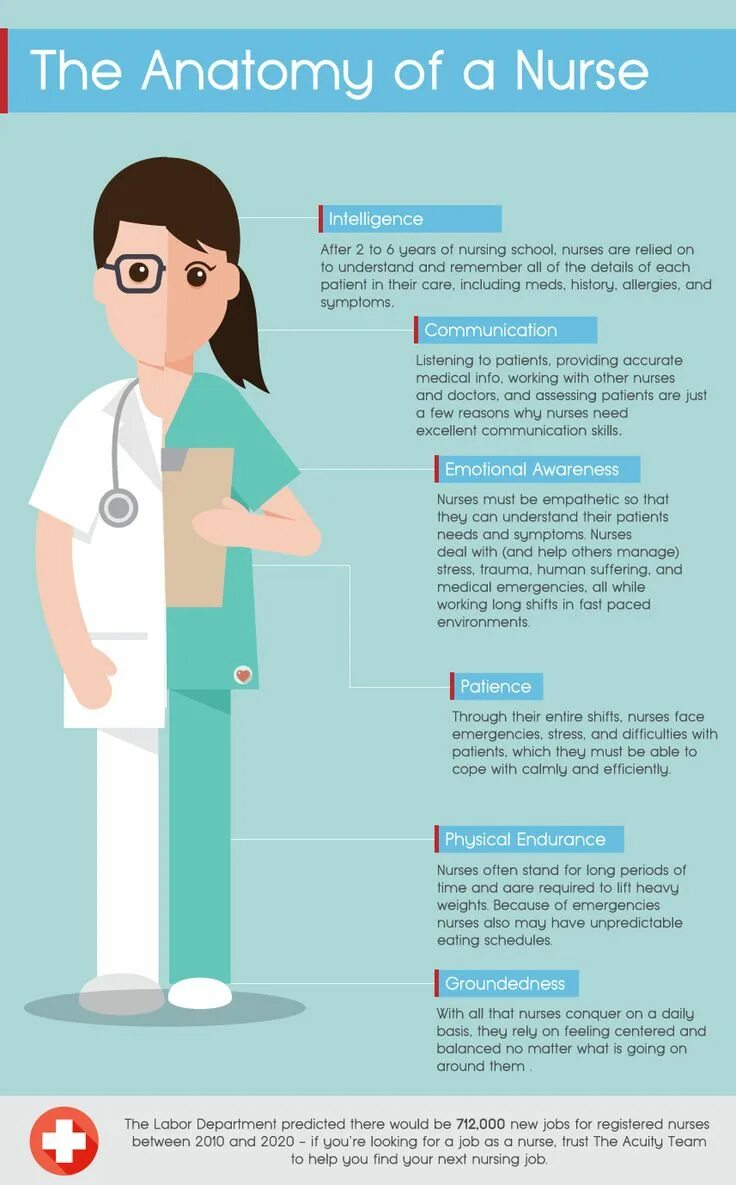 A nurse often. Инфографика медсестра. анатомия для медицинских сестер. инфографика сестринское дело. nurse перевод.