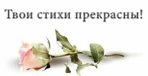 Поэзии чудесные страницы. Люблю тебя милая стихи. Чудесная моя стихи. Стихи любимой жене. Желаю здравствовать.