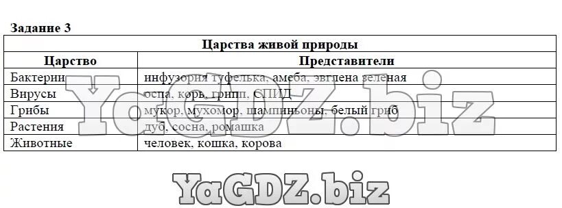 Используя текст учебника перечислите причины возникновения новороссии. Царство живой природы царство представители таблица. Таблица по биологии 6 класс царство живой природы. Таблица по биологии 5 класс царства живой природы. Царство живых организмов 5 класс биология таблица.