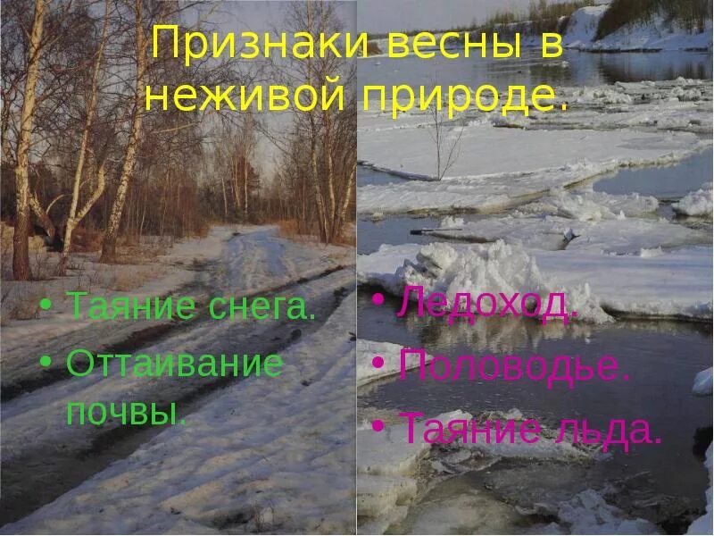 Явление природы весной 2 класс. Неживая природа весной. Нежи вая природа вепсной.