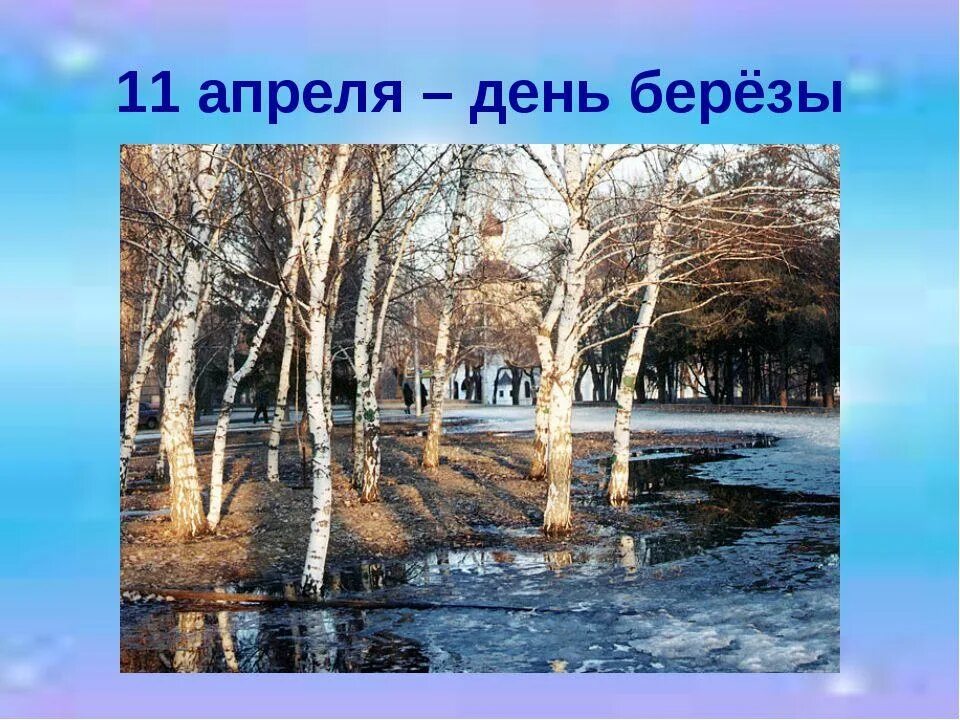 День березы. 11 Апреля день березы. Берещенье народный праздник. 11 Апреля Берещенье праздник березы.