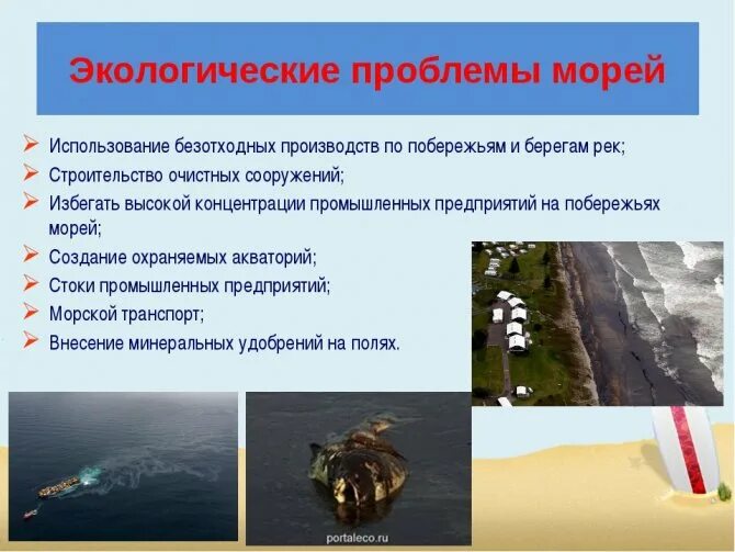 Экологические проблемы МО. Экологические проблемы морей. Причины экологических проблем морей. Экологические проблемы морей России.