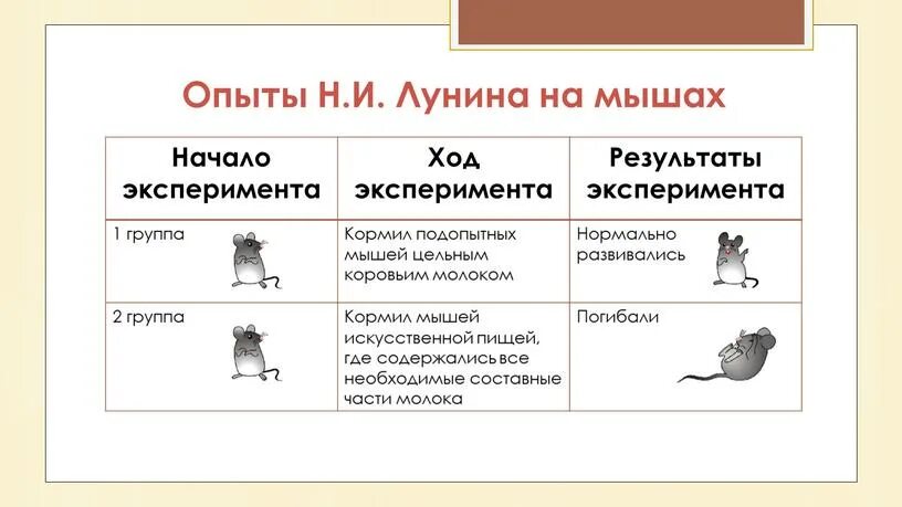 Эксперимент с мышами. Опыт лунина с мышами. лунин опыты на мышах. николай иванович лунин опыт с мышами. лунин эксперимент с мышами.
