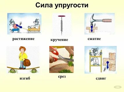 Рисунок упругости