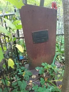 Погода дружная горка гатчинский