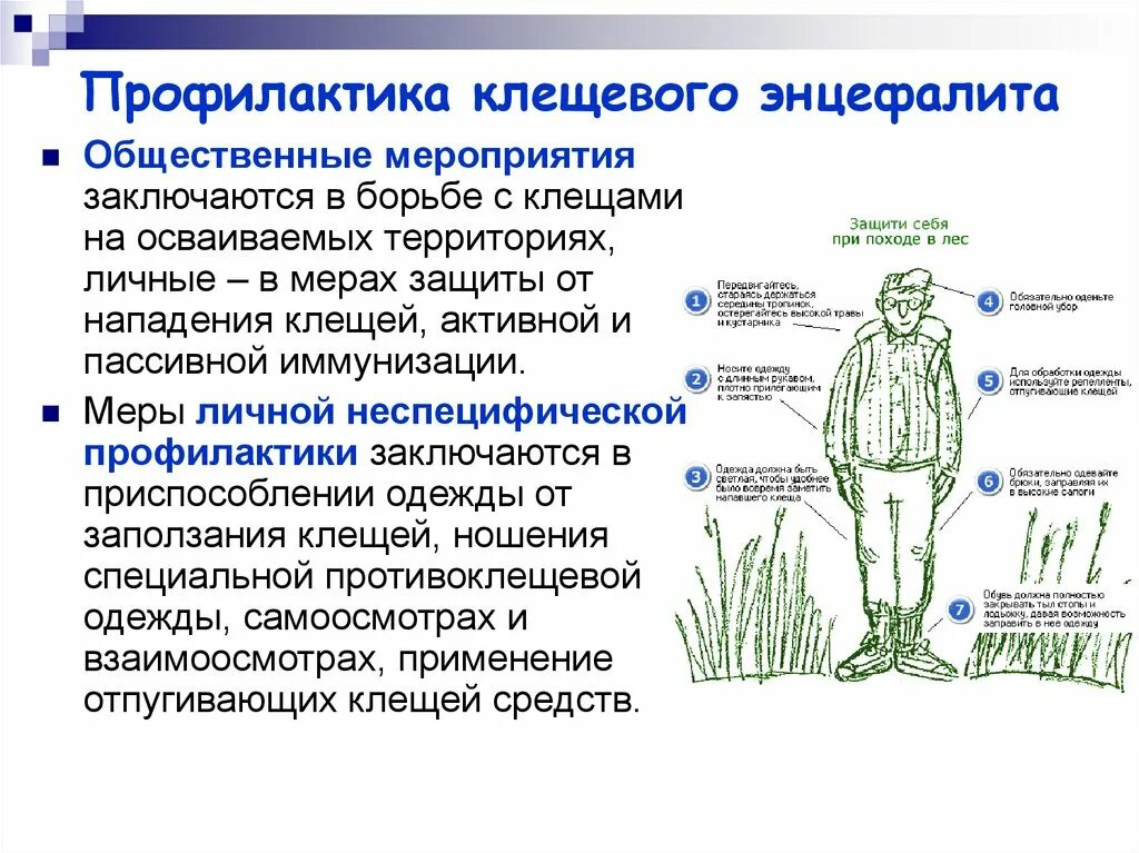 Экстренная неспецифическая профилактика клещевого энцефалита. Общественная профилактика клещевого энцефалита. Не специфическая профилактика клещевого энцефалита. Профилактика клещевого инцефалит.