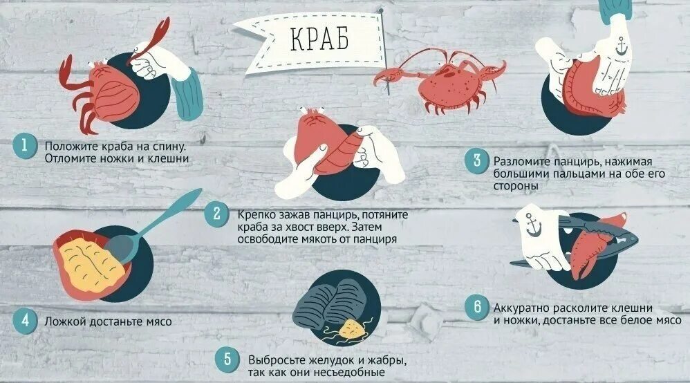 Как правильно есть краба. Обработка краба схема.