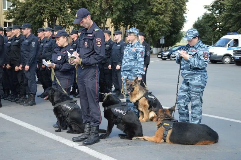 Дозор полиция