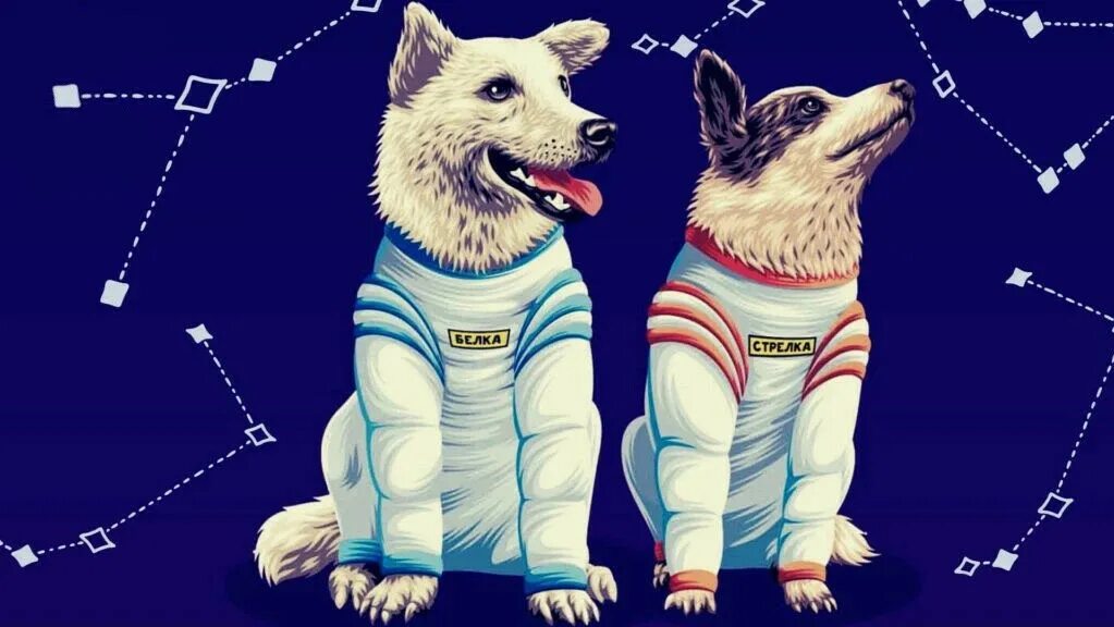 Лайка 1957 год собака космонавт лайка. 1957 лайка в космосе. Спутник человека животное. Собака лайка на спутнике 2. Спутник человека животное.