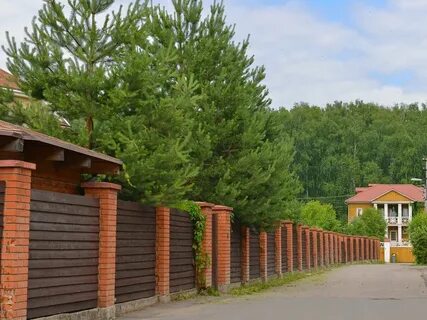 Вешки 3