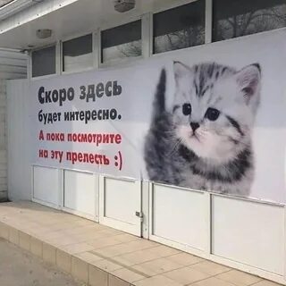 Больше интересного тут