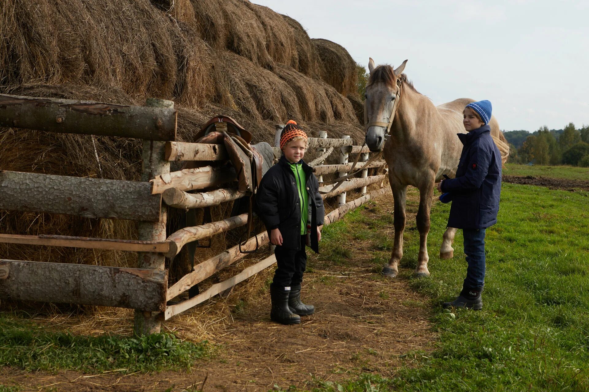 три девицы фильм 2022. анастасия макарова три девицы. елена аросева актриса. три девицы трейлер. три девицы 2022.
