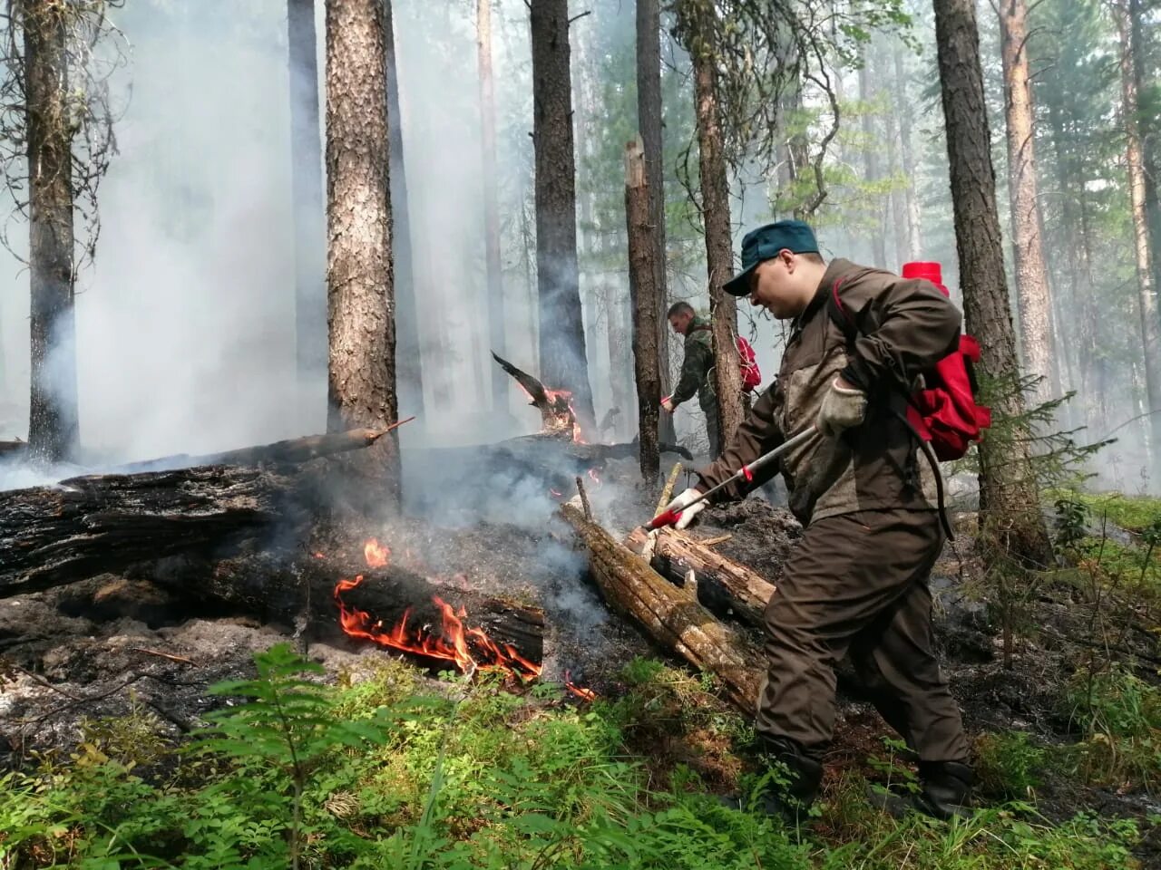 Лесные пожары статьи. Денежкин камень пожар 2010. Пожар в заповеднике Денежкин камень. Пожар в лесу. Борьба с лесными пожарами.