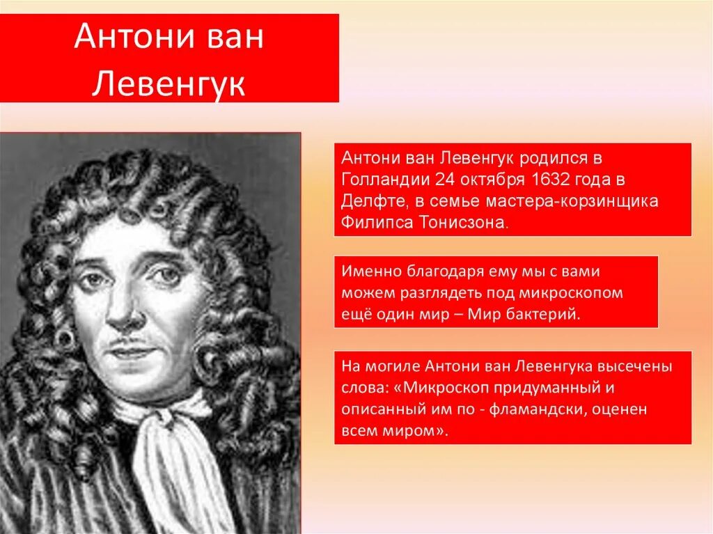 Голландец антони ван левенгук. Левенгук кровяные тельца. Антоний ван левенгук открыл мир. Антоний ван левенгук вклад в медицину. Антони ван левенгук вклад в медицину.