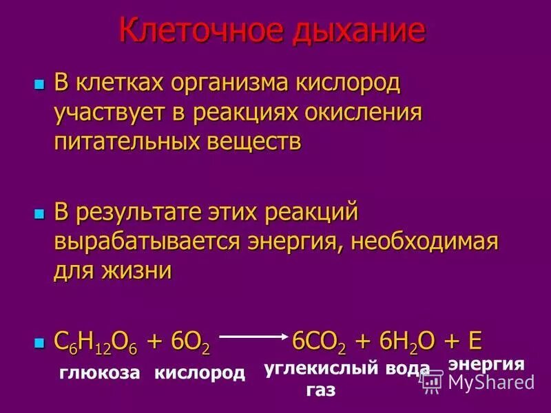 Химические свойства кислорода уравнения реакций. Способы получения кислорода формулы. Реакции с кислородом. В каких реакциях участвует кислород. В каких реакциях участвует кислород.