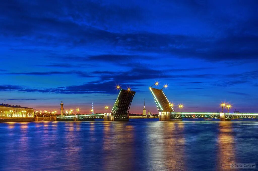 Разводные мосты в Санкт-Петербурге панорама. Белые ночи Санкт-Петербург мосты. Разводные мосты Питер панорама.