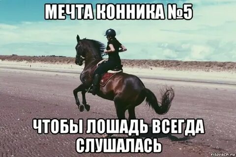 Лошадь мем