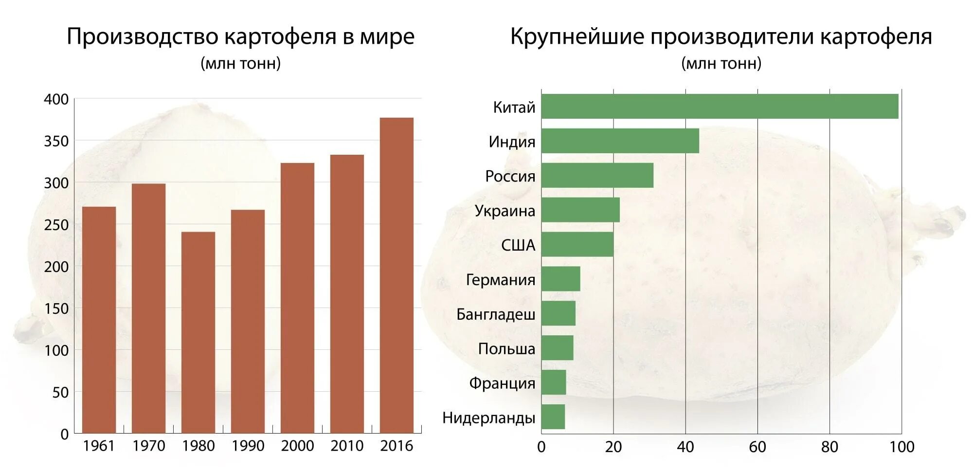 Крупнейшие производители картофеля. Производство картофеля в мире. Картофель Лидеры производства. Производство картофеля в России.