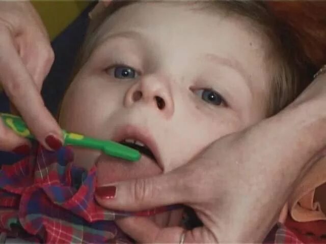 курс логопеда. домашний логопед- попов-толмачев денис. домашний логопед видео уроки. валентина боос домашний логопед. домашний логопед видео уроки.