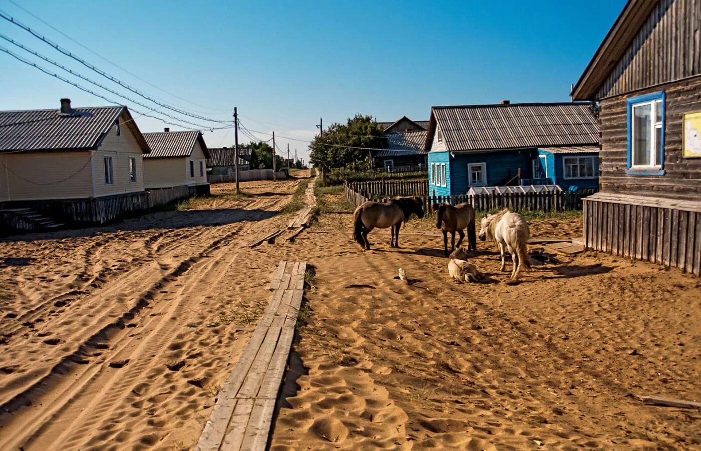 Кузомень мурманская. Терский берег варзуга. Кузомень мурманская. Село кузомень мурманская. Кузомень терский.