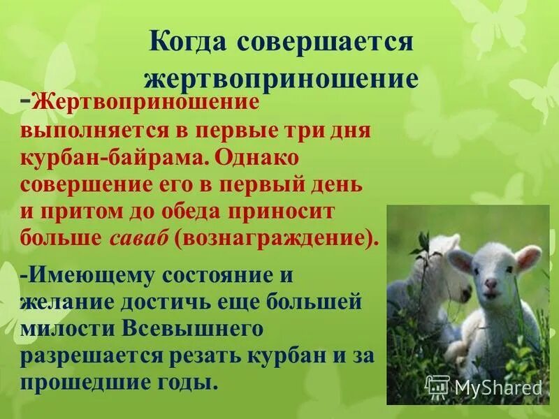 Когда отмечается курбан. Курбан байрам жертвоприношение. Курбан байрам презентация. Курбан-байрам кратко о празднике. Курбан байрам сообщение.