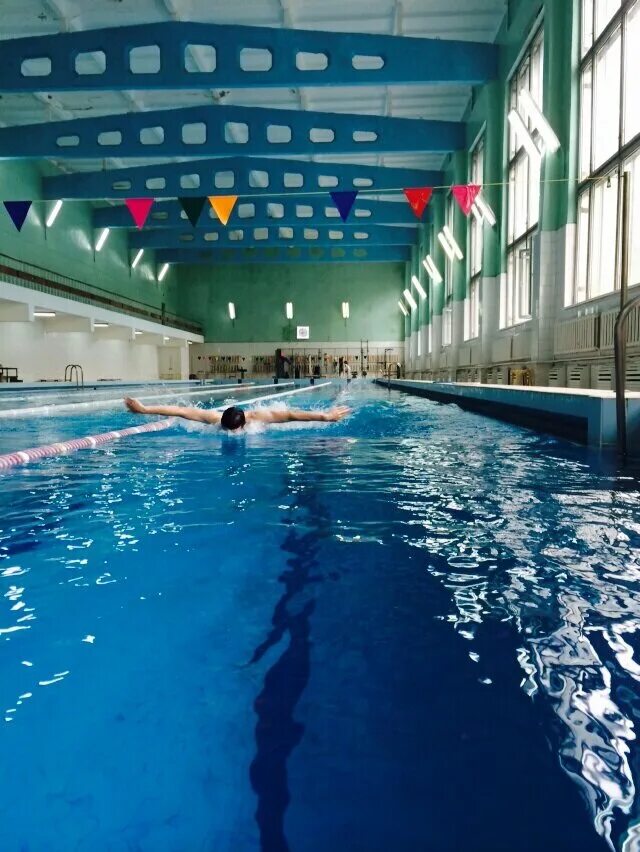 Плавание манеж. Ск центр плавания санкт-петербург. X fit федосьино бассейн. Легкоатлетический манеж мгсу. Бассейн ниу мгсу, бассейн.