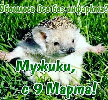 Вот и кончились букеты смс